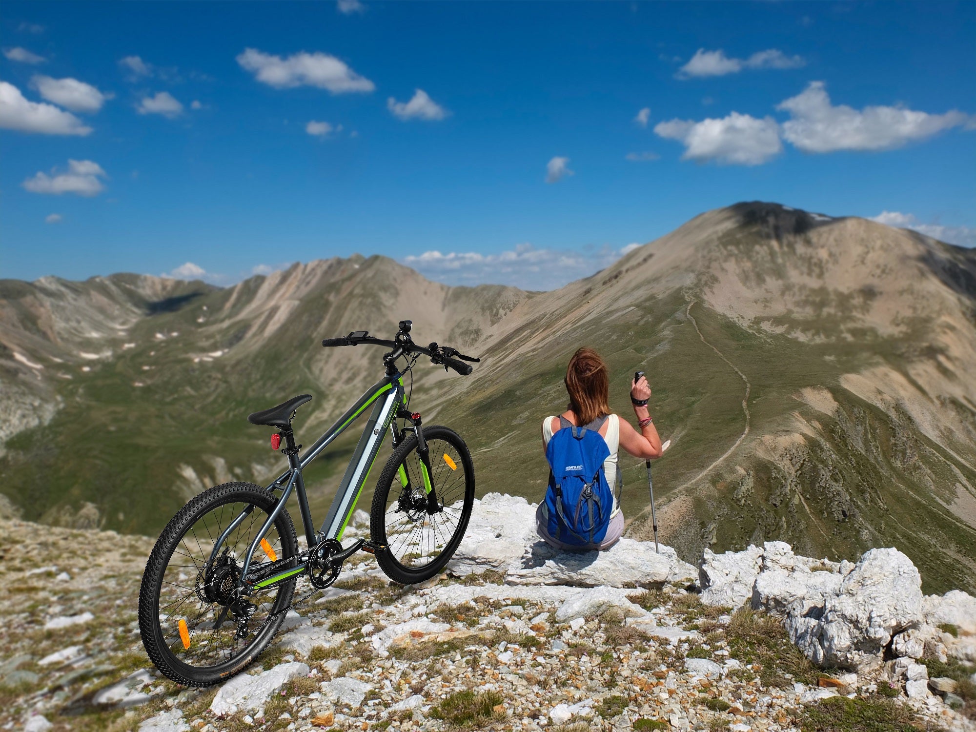 SachsenRad E-Racing Mountain Bike R8 Ranger grau